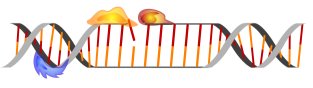 DNA-Reparatur